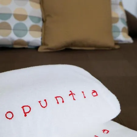 アパート Opuntia *